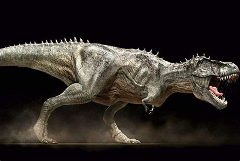 南方巨兽龙：第二大的陆地食肉恐龙，你真的了解吗？ - 哔哩哔哩