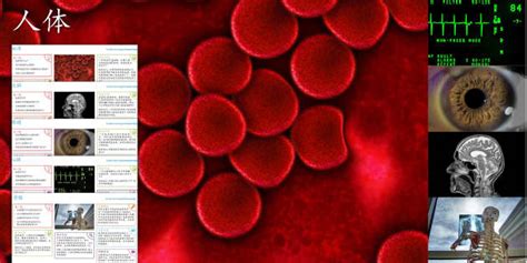 Imagine Human Body KS2 Resource Pack Mandarin Chinese