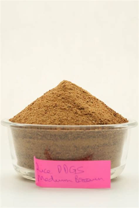 Rice Ddgs - Feed Grade Rice Ddgs Manufacturer from Sas Nagar