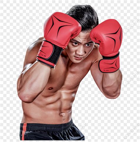 Boxing Transparent 的图像结果