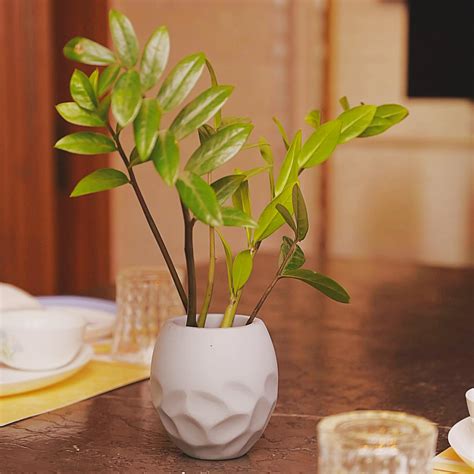 DEESHA CREATION Grey Hand Crafted Polyresin FRP Small Tapped Shape ...