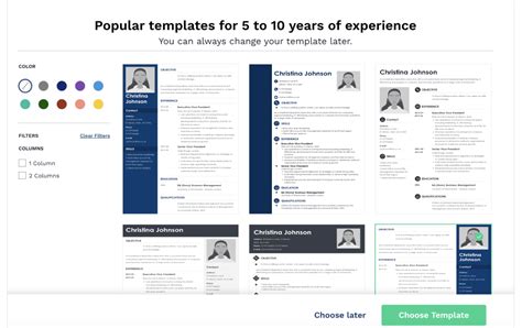 18+ Professional CV Templates: Curriculum Vitae to Download