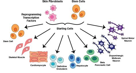 Image result for Reprogramming Computer
