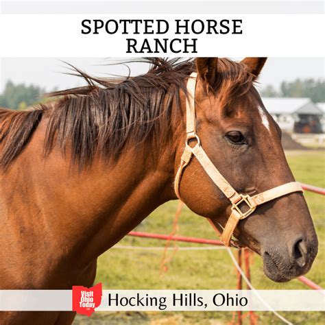 Spotted Horse Ranch - Horseback Riding in Hocking Hills - Visit Ohio Today