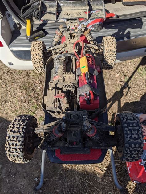 Image result for Corally Python