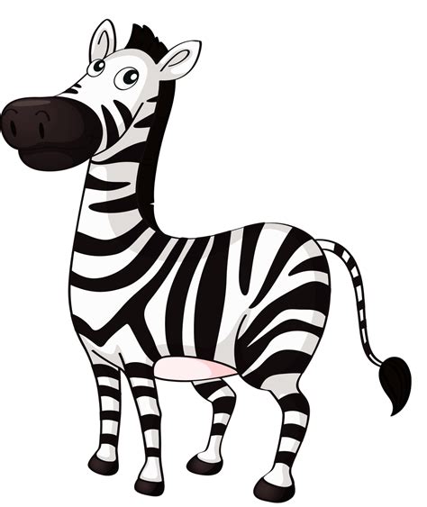 Zebra Clip art - zebra png download - 1077*1280 - Free Transparent ...