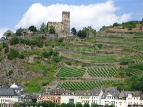 BURG GUTENFELS (Kaub) - Castle Reviews & Photos - Tripadvisor