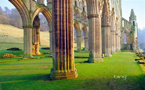 Bing手机壁纸 的图像结果