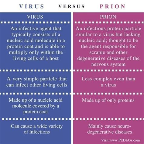 what is difference between viruses and prions - Brainly.in
