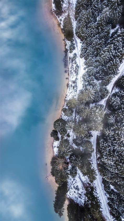 Download wallpaper 938x1668 forest, trees, aerial view, ice, snow ...