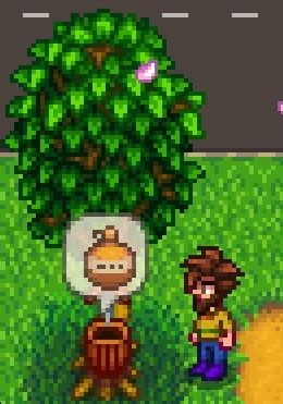 How to get maple syrup - Stardew Valley | The Lost Noob