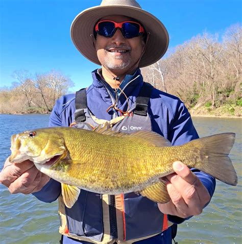 Potomac River Fishing Reports