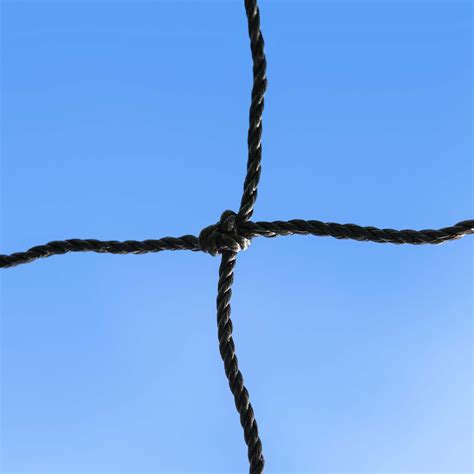 ,NET 的图像结果