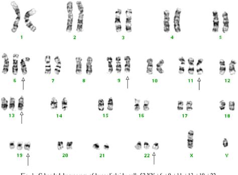 Image result for DataMapper Pattern Example