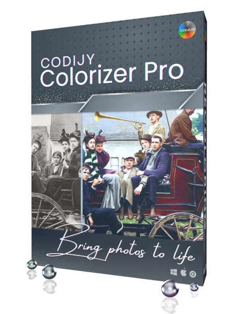 Image result for Codijy Colorizer Pro