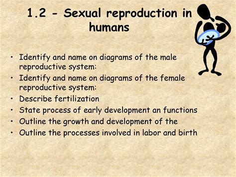Reproduction in Humans Whole Process 的图像结果
