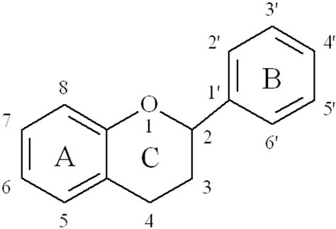 Flavonoid Bioavailability and Attempts for Bioavailability Enhancement
