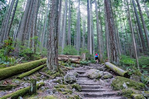 Hiking the Grouse Grind in North Vancouver - Best Hikes BC