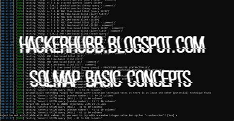 Sqlmap Tutorial Basics 的图像结果