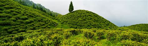 Bindu Dam, Odisha - Timings, History and Travel Tips | Indianpanorma
