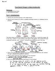 Image result for Macromolecules Functional Groups