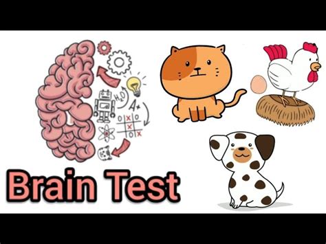 Brain Testing 的图像结果