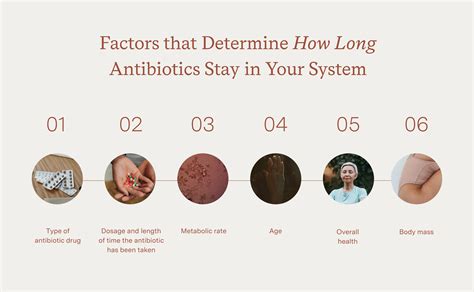 How Long Before Antibiotics Work