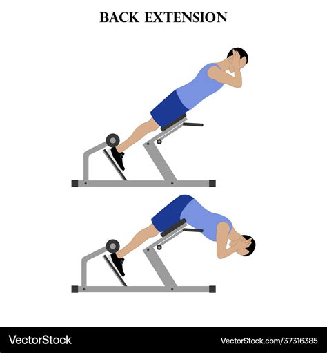 Image result for Back Extension Exercise Instructions