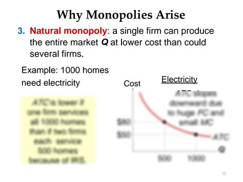 Why Are Monopolies Bad