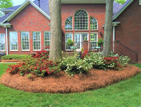 Mid-Atlantic Pine Straw Mulch