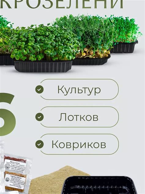 Набор для выращивания микрозелени Harvest 6 видов. Артикул 232260090 ...