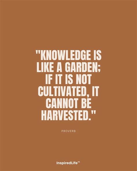 Short Quotes On Knowledge 的图像结果