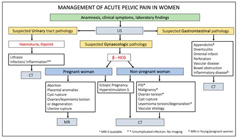 Gynaecological Causes of Acute Pelvic Pain: Common and Not-So-Common Imaging Findings