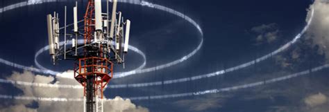 Image result for Cellular Pim