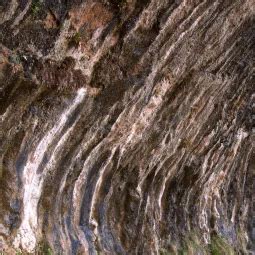 See the Weeping Rock