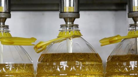 Drought, rats, labour shortages stifle global edible oil recovery ...