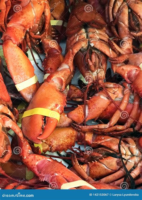 Large Fresh Red Boiled Lobsters on the Showcase of a Fish Restaurant in Brussels. Stock Image ...