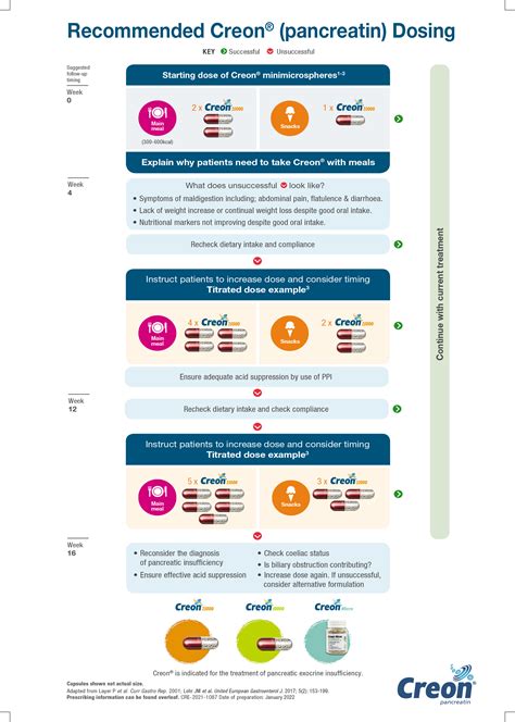 Does Creon Increase Lipase Levels at Anton Thomas blog