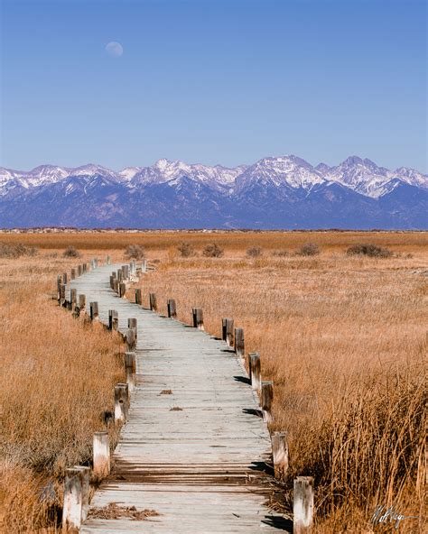 Bridge to the Sangre de Cristos (2016) | San Luis Valley, Colorado