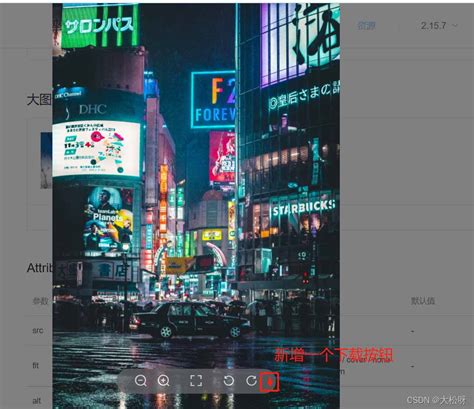 HTML DOM JavaScript Vue 的图像结果