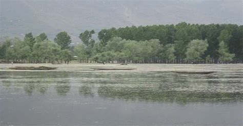 Wular Lake Is The Covered Mystic Lake In Kashmir To Visit In 2026