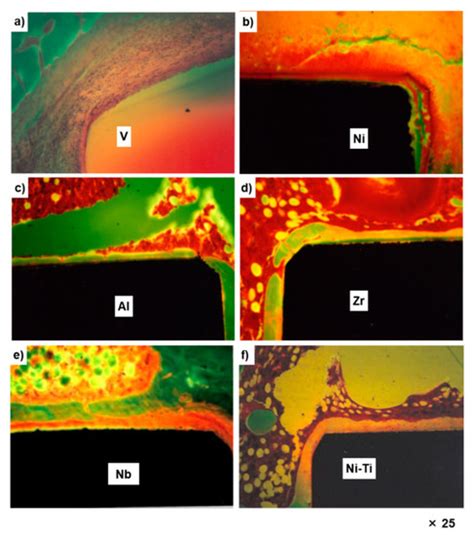 Biological Safety Evaluation and Surface Modification of Biocompatible ...