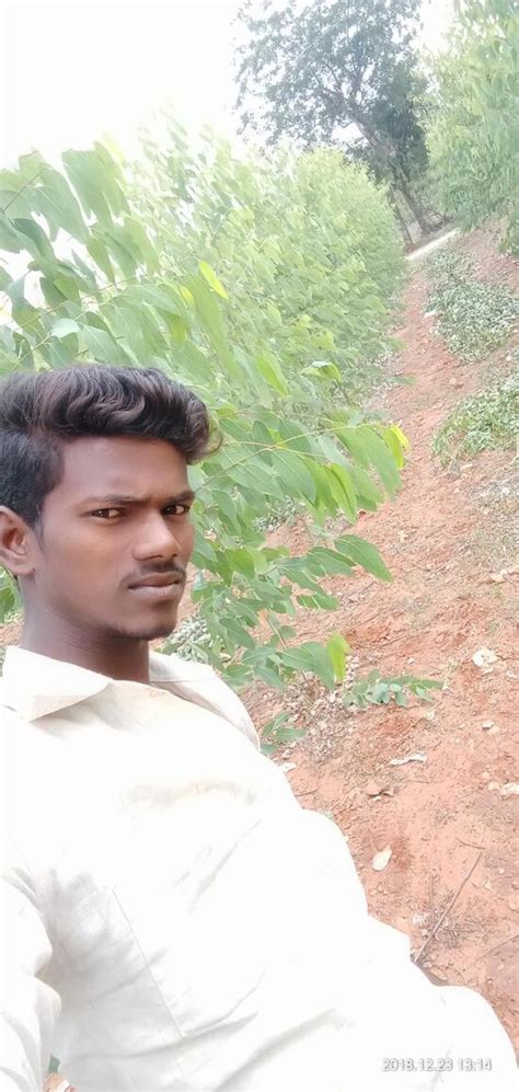 Kalyani Wines - Restaurant menu, prices and reviews