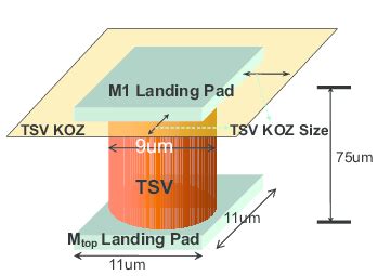 Image result for TSV Program