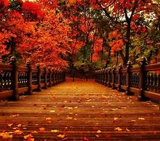 Aesthetic Autumn Desktop Wallpapers by Aesthetic Autumn Wallpapers Wallpaper Cave Aesthetic Autumn Desktop Wallpapers