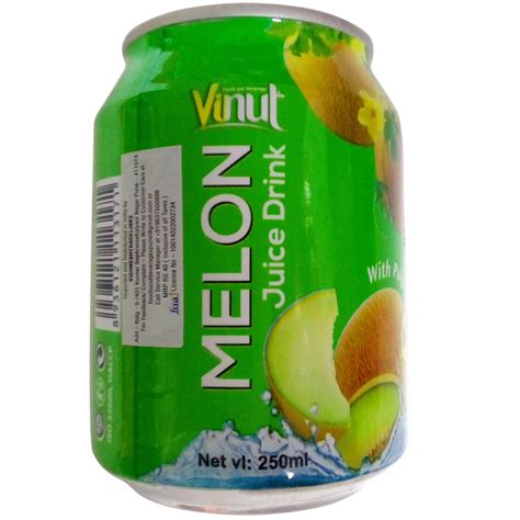 Vinut Juice Drink - Melon, 250ml Tin : Amazon.in: Grocery & Gourmet Foods