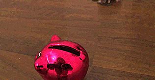 21 Things You'd Like To Tell Your Younger Self