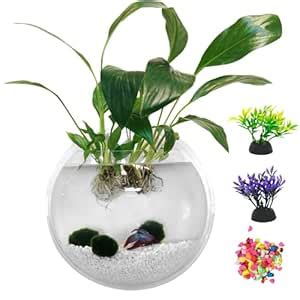 kathson Wall Fish Bowl Acrylic Hanging Aquarium Wall Mounted Bubble ...