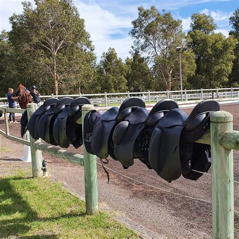 Saddle Fitting Day, Anna Latto Equestrian, Baskerville, 11 August 2024 ...