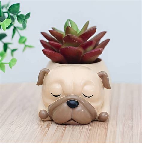 Bulldog Resin Succulent Pot — Plant N Pots
